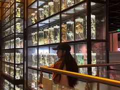-广东中医药博物馆