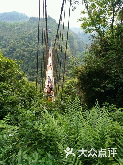 川西竹海峡谷自然景区(金鸡谷-图片-成都周边游-大众点评网