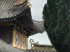 -江心屿景区