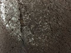 -好利来(清华南门店)