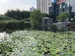 -苏州河梦清园环保主题公园