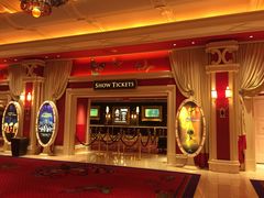 -拉斯维加斯永利酒店