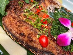 -老滇山寨•云南特色菜•地方菜•民族风情歌舞表演(金碧店)