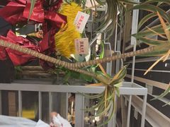 -湊湊火锅·茶憩(皇姑万象汇店)