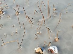 -天津东丽湖风景区