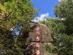 -汤旺河林海奇石景区