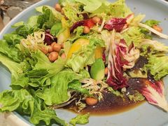 -朱记乳鸽王·非遗石岐乳鸽·全鸽宴(大兴旗舰店)