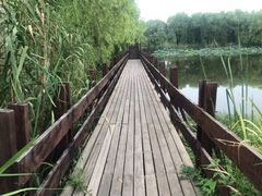 -长兴太湖图影湿地文化园