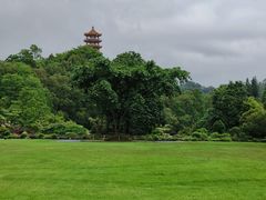 -深圳仙湖植物园