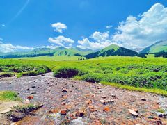 -新疆那拉提国家旅游度假区