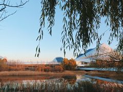 -哈尔滨大剧院