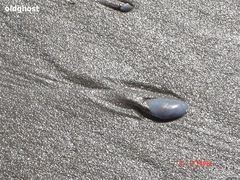 -珠海金沙滩