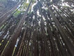 -山王坪喀斯特国家生态公园