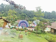 -黄龙溪欢乐田园