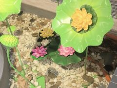 -欠火锅·水牛毛肚·团建聚餐·生日宴(何山路店)