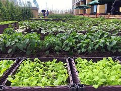 -松咖啡自助餐厅·松北香格里拉