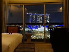 -新加坡瑞士史丹福酒店