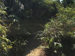 -火炉山森林公园