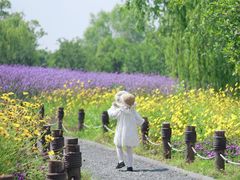 -梁鸿国家湿地公园
