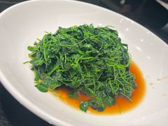 -新南华大酒店(广中店)