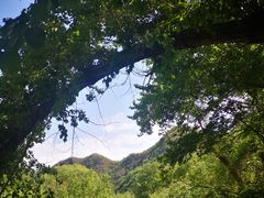 -雾灵西峰