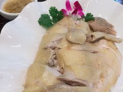 白切鸡-御膳粥·牛乳粥底火锅·地道顺德菜(容桂店)