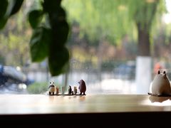 -琥珀咖啡 Ambercoffee