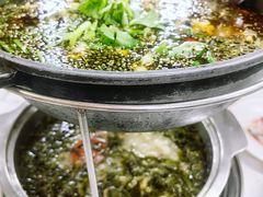 藿香锅-重庆乌鱼庄·龙滋鲜(青羊大道店)