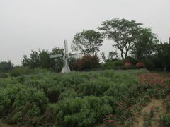 -日照灯塔风景区