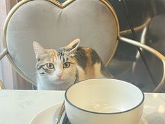 -后海16号·北京私房菜