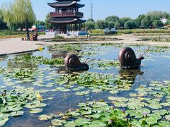 -白洋淀风景区