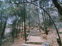 -府君山公园