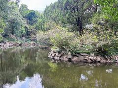 -叶家花园