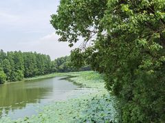 -东湖落雁景区