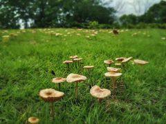 -白塘生态植物园