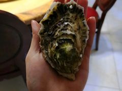 -双福水果批发市场