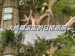 -广州长隆野生动物世界
