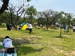 -长洲岛都市农业公园