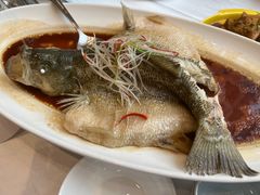 红烧鲈鱼-湖北味道(湖北大厦店)