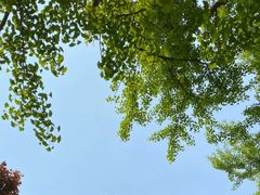 -迎泽公园