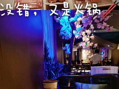 -野妹经典火锅(江夏中百店)