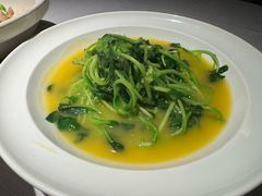 -许家菜(DT51店)