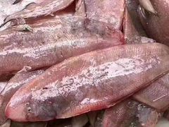 龙利鱼-珍珠海味购物中心