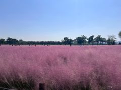 -汉长安城未央宫国家考古遗址公园