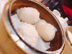 -糖朝(尖沙咀店)