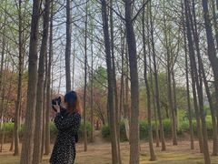 -宝鸡植物园