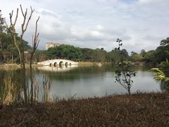 -金山植物公园