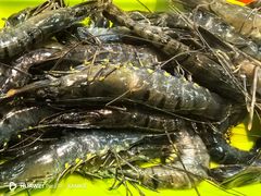 -养牛邓·潮汕牛肉海鲜自助火锅(广州店)
