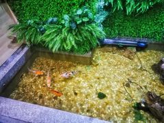 -松坂屋日料自助(长城路店)