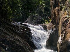 -广州白江湖森林公园